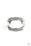 Bucking Trends - Silver - Paparazzi