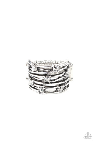 Revved Up Radiance - Silver - Paparazzi