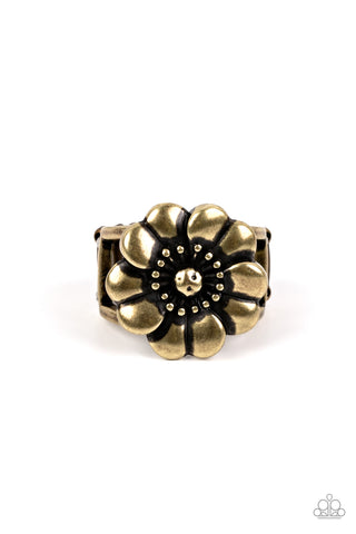 Floral Farmstead - Brass - Paparazzi