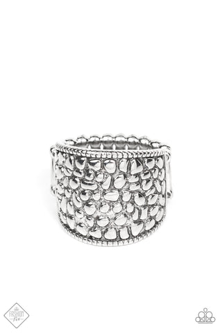 Dotted Decorum - Silver - Paparazzi
