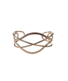 Fierce Fusion - Rose Gold - Paparazzi